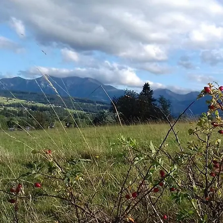 Magurskie Bywanie 3* Witów