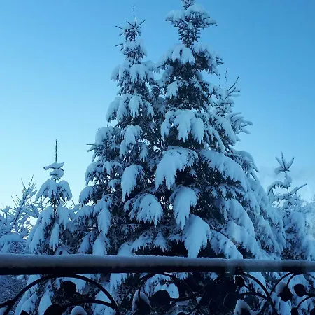 Magurskie Bywanie Nocleg ze śniadaniem