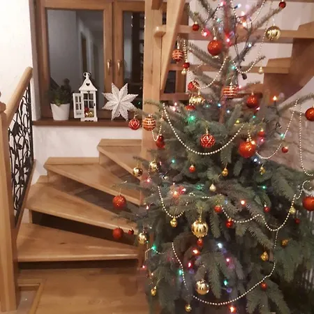 Bed & Breakfast Magurskie Bywanie Witow (Tatra)